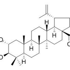 1163728-89-9/ 2alpha-羟基-3beta-乙酰白桦酸 ,分析标准品,HPLC≥95%
