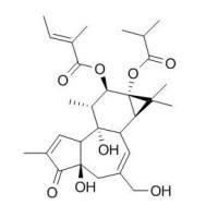 92214-54-5/	 伏波酯-12-惕各酸酯-13-异丁酸酯 ,	分析标准品,HPLC≥98%