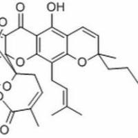 2752-65-0/ 藤黄酸 ,析标准品,HPLC≥98%