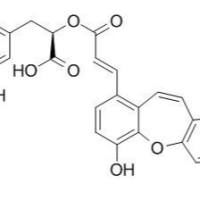 142115-17-1/	 异丹酚酸C ,	分析标准品,HPLC≥95%