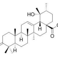 13849-90-6.3-氧代坡模酸 ,	分析标准品,HPLC≥95%