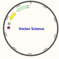 pOTB7-DUS3L|pOTB7-DUS3L质粒