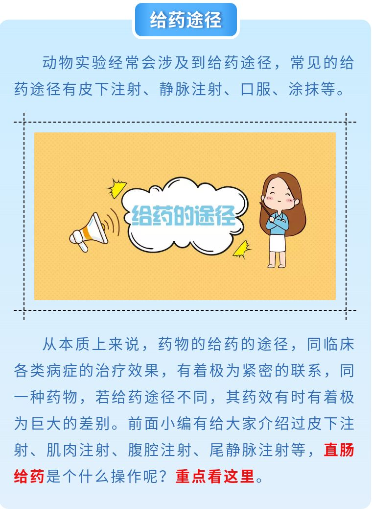【拓普课堂】动物实验之直肠给药