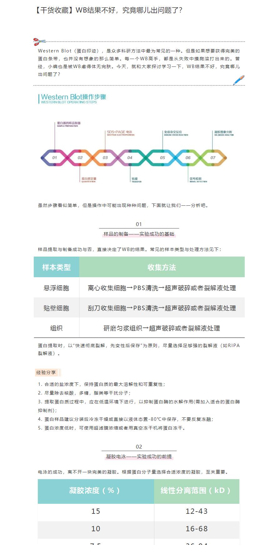 【干货收藏】WB 结果不好，究竟哪儿出问题了？