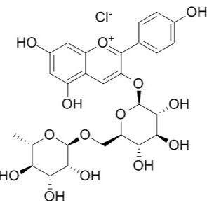 15674-58-5/ 氯化飞燕草素-3-O-芸香糖苷,分析标准品,HPLC≥95%