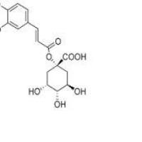 1-咖啡酰奎宁酸1241-87-8价格