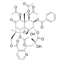41855-33-8/鬼箭羽碱，叶含卫矛碱 ,	分析标准品,HPLC≥98%