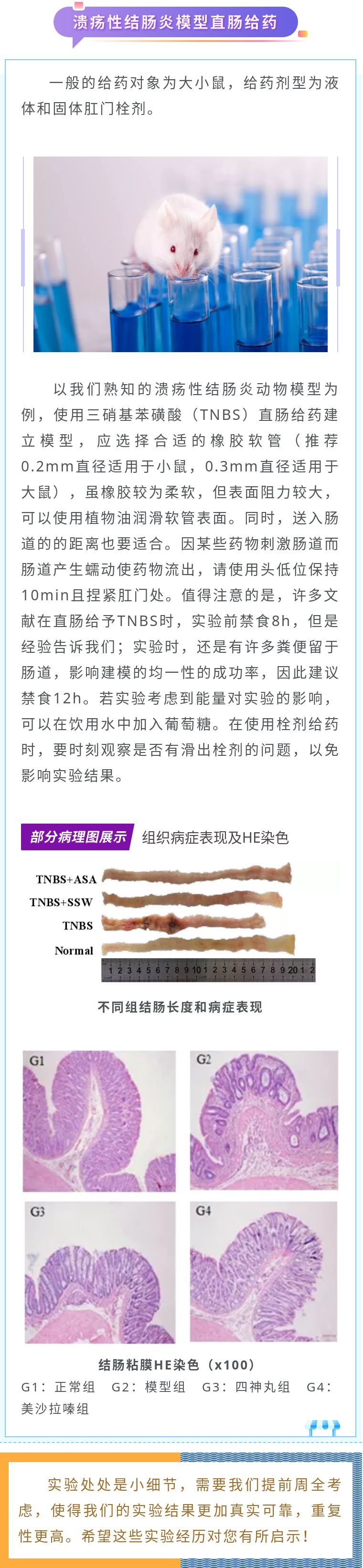 新闻图片4