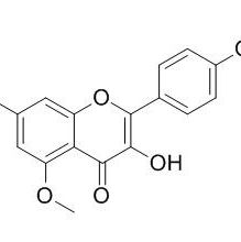 22044-80-0/ 5-甲氧基山 5-甲氧基莰非醇 ,分析标准品,HPLC≥95%