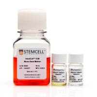 IntestiCult™小鼠肠道类器官生长培养基