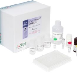新型冠状病毒IgM检测试剂盒