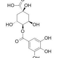 110170-37-1/4-没食子酰基奎宁酸 ,	分析标准品,HPLC≥95%
