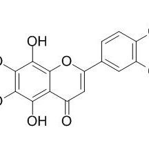 99615-01-7/4',5,8-三羟基-3',6,7-三甲氧基黄酮 .分析标准品,HPLC≥95%