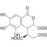 23725-05-5/	 诃子次酸,诃子裂酸,分析标准品,HPLC≥95%