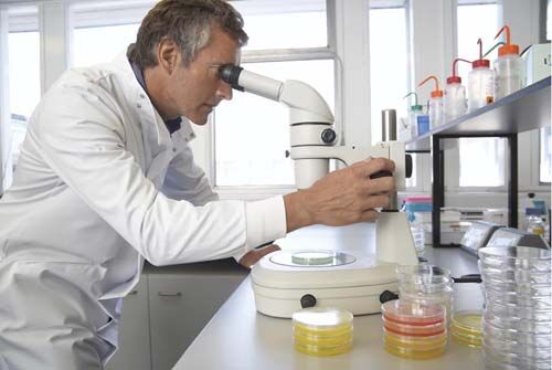 糖是“毒-品”，那么引发对糖的渴求和消费的脑细胞是什么？