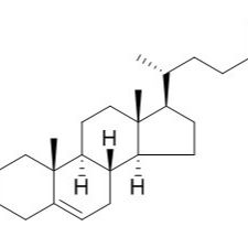 18472-36-1/ Delta 5-avenasterol ,分析标准品,HPLC≥95%