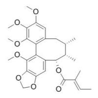 140461-47-8/ 异性南五味子乙素; 异南五味子素 B , 分析标准品,HPLC≥95%