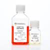mTeSR™ Plus,cGMP级别,换液灵活的hPSC维持培养基