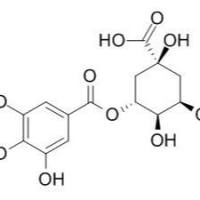 17365-11-6/3-没食子酰基奎宁酸 ,	分析标准品,HPLC≥90%