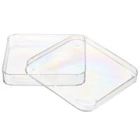 Thermo Scientific™ Nunc™ Lab-Tek™ 培养皿培养真菌、细菌和其他微生物。