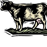 高灵敏一步法牛血清白蛋白(BSA)定量检测试剂盒