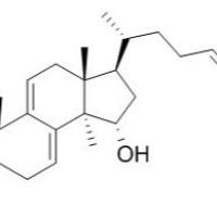 100665-40-5/ 灵芝烯酸A , 分析标准品,HPLC≥98%