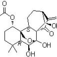 28957-08-6/ 毛栲利素, 分析标准品,HPLC≥98%