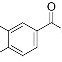 2150-43-8/	 3,4-二羟基甲酸甲酯,分析标准品,HPLC≥98%