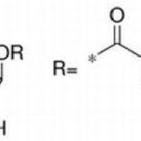 18483-17-5/ 1,3,6-三-O-没食子酰基-β-D-葡萄糖 , 分析标准品,HPLC≥90%
