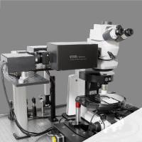 VIVO Multiphoton