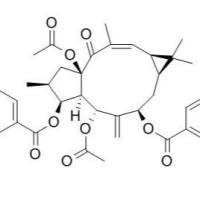 93550-94-8/大戟因子L7a ,	分析标准品,HPLC≥95%