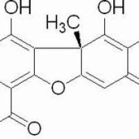 7562-61-0/	 D-地衣酸 ,分析标准品,HPLC≥98%