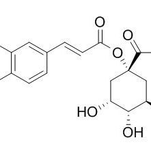 1241-87-8/ 1-咖啡酰奎宁酸 ,分析标准品,HPLC≥98%