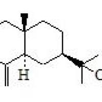 51317-08-9/ β-桉叶醇 , 分析标准品,HPLC≥95%