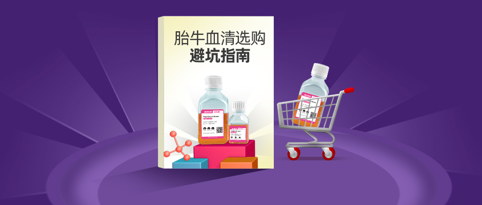 胎牛血清的选购标准