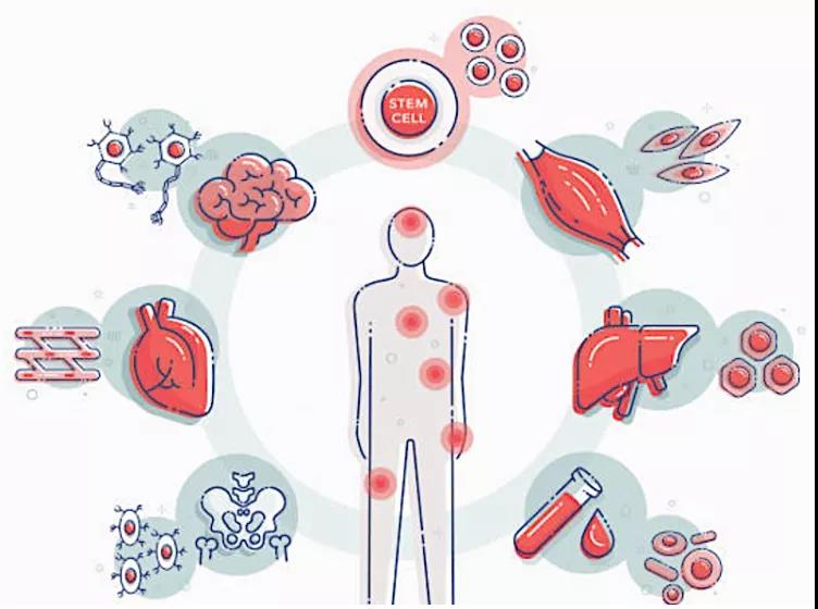 小分子化合物助力医学大突破