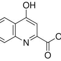 492-27-3/ 犬尿酸 / 分析标准品,HPLC≥98%