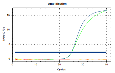 腰果源性成分荧光探针法RT-PCR检测试剂盒    