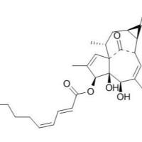 466663-11-6/ 3-O-(2'E,4'E-癸二烯酰基)巨大戟二萜醇 , 分析标准品,HPLC≥95%
