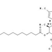 16561-29-8/	 佛波醇12-十四酸酯13-乙酸酯 ,	分析标准品,HPLC≥98%