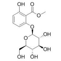 108124-75-0/	 6-(beta-D-吡喃葡萄糖氧基)水杨酸甲酯 ,	分析标准品,HPLC≥95%