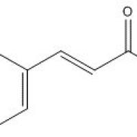 66648-50-8/3,4-二羟基肉桂酸乙酯 , 分析标准品,HPLC≥98%