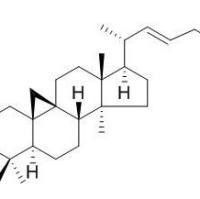 97456-49-0/Cycloart-22-ene-3,25-diol ,分析标准品,HPLC≥95%