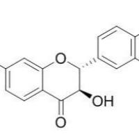 20725-03-5/	 Fustin ,	分析标准品,HPLC≥95%