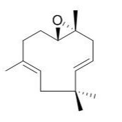 19888-34-7/Humulene epoxide II ,分析标准品,TLC≥97%