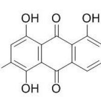17526-15-7/	 Xanthorin ,	分析标准品,HPLC≥95%