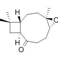 24173-71-5/Kobusone ,分析标准品,GC≥95%