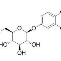 109194-60-7/ Tachioside , 分析标准品,HPLC≥95%