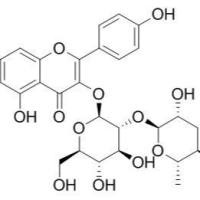 32602-81-6/	 Kaempferol 3-neohesperidoside ,	分析标准品,HPLC≥98%
