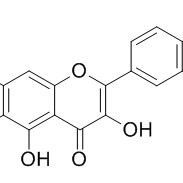 29536-44-5/	 Eupatoletin ,	分析标准品,HPLC≥95%